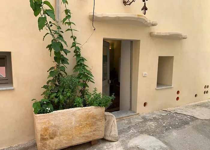 Madrepora Nero Centro Storico *